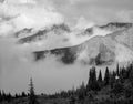 Olympic National Park, Washington, 1996