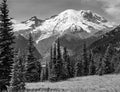 Mount Rainier, Washington, 1996