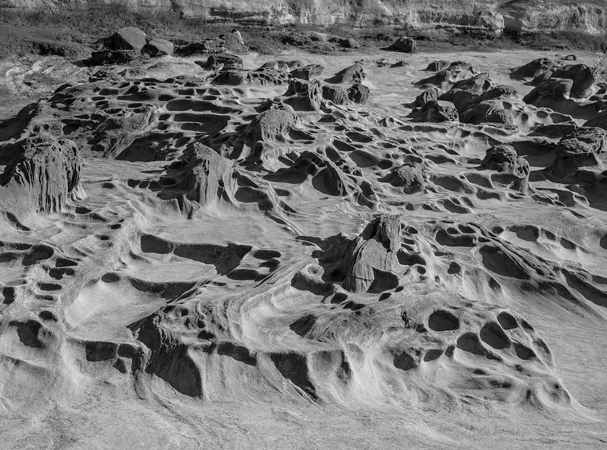 Rock Formations, Shore Acres State Park, Oregon, 2023
