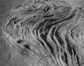 Sandstone Ripples, Shore Acres State Park, Oregon, 2023