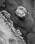 Sandstone, San Juan Islands, Washington, 2003