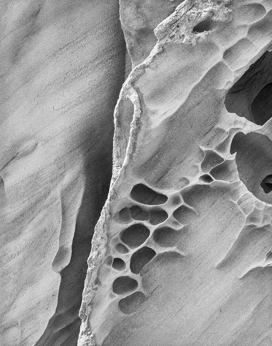 Stone Crevice, San Juan Islands, Washington, 2003