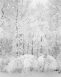 Boonton Township, New Jersey, 2018