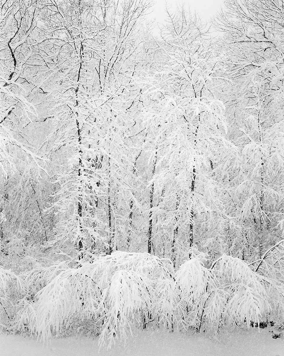 Boonton Township, New Jersey, 2018