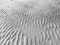 Low Tide, Ipswich, Massachusetts, 2022