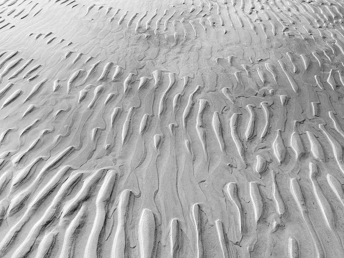 Low Tide, Ipswich, Massachusetts, 2022