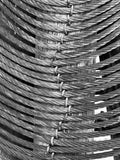 Pier Cables, Boston Harbor, Massachusetts, 2025