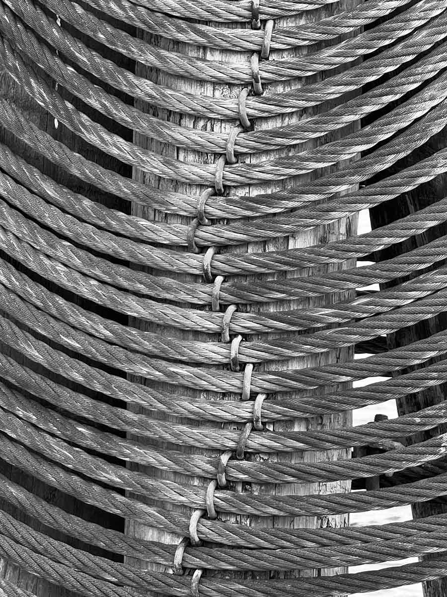 Pier Cables, Boston Harbor, Massachusetts, 2025