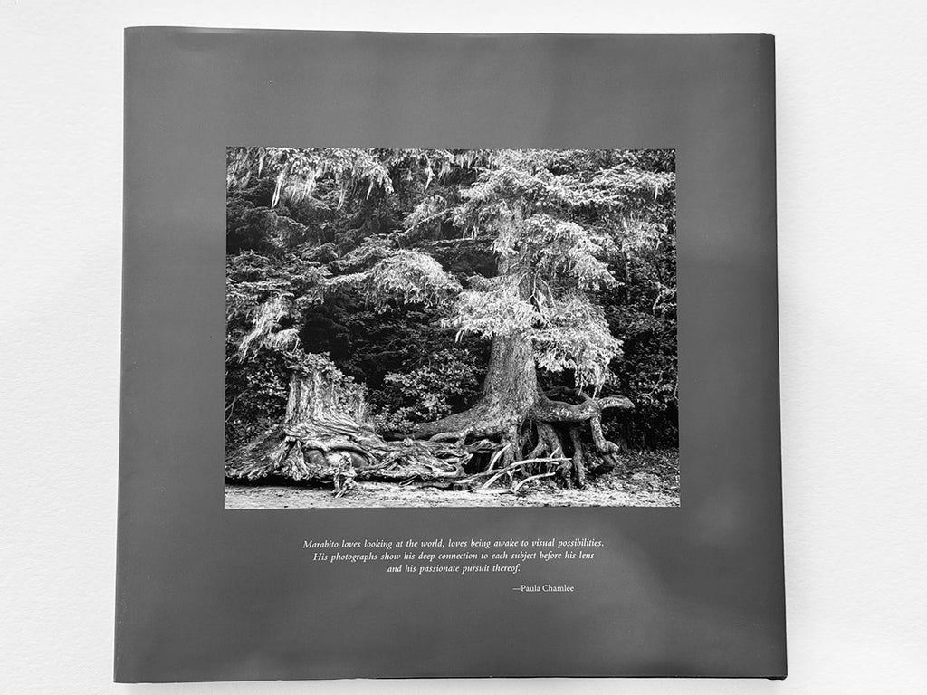 Resonance Special Edition — Coming Soon