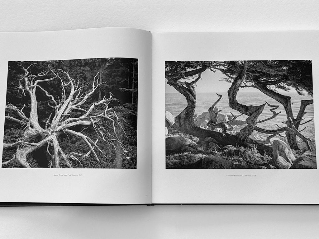 Resonance Special Edition — Coming Soon